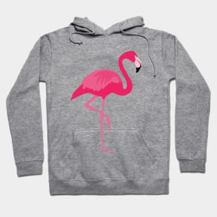 It's Flamingo Time! Hoodie